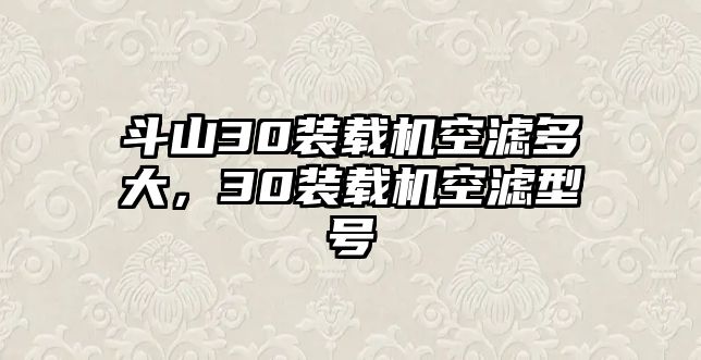 斗山30裝載機空濾多大，30裝載機空濾型號