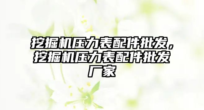 挖掘機壓力表配件批發(fā)，挖掘機壓力表配件批發(fā)廠家