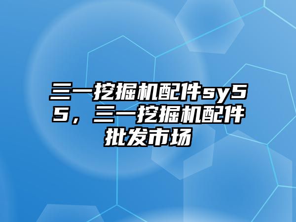 三一挖掘機(jī)配件sy55，三一挖掘機(jī)配件批發(fā)市場