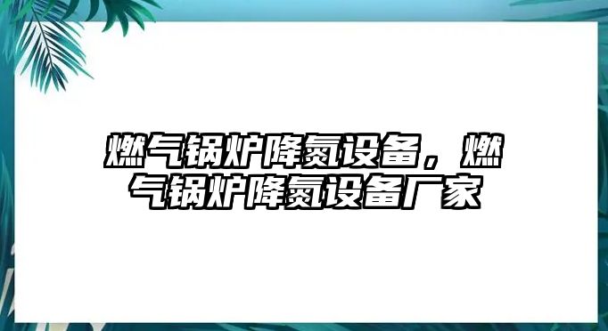 燃氣鍋爐降氮設備，燃氣鍋爐降氮設備廠家