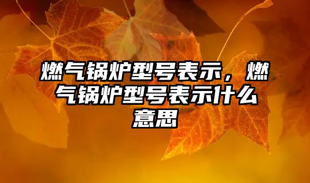 燃?xì)忮仩t型號表示，燃?xì)忮仩t型號表示什么意思