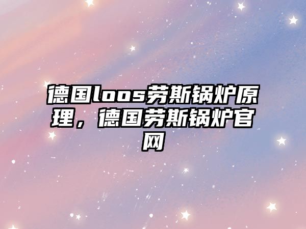 德國loos勞斯鍋爐原理，德國勞斯鍋爐官網(wǎng)