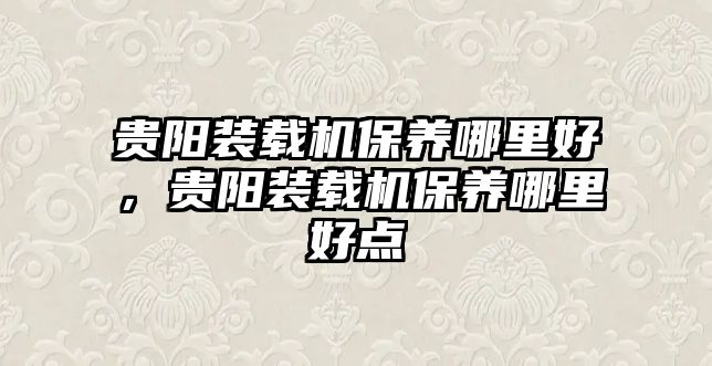 貴陽裝載機保養(yǎng)哪里好，貴陽裝載機保養(yǎng)哪里好點