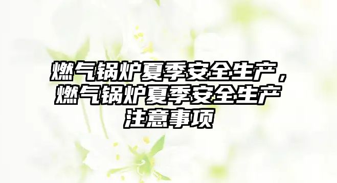 燃?xì)忮仩t夏季安全生產(chǎn)，燃?xì)忮仩t夏季安全生產(chǎn)注意事項(xiàng)