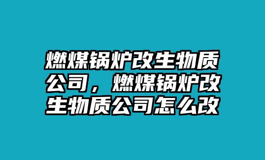 燃煤鍋爐改生物質(zhì)公司，燃煤鍋爐改生物質(zhì)公司怎么改