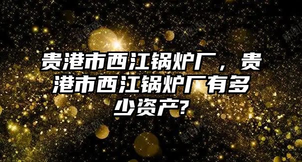 貴港市西江鍋爐廠，貴港市西江鍋爐廠有多少資產(chǎn)?