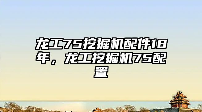 龍工75挖掘機(jī)配件18年，龍工挖掘機(jī)75配置