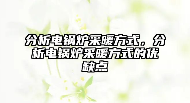 分析電鍋爐采暖方式，分析電鍋爐采暖方式的優(yōu)缺點