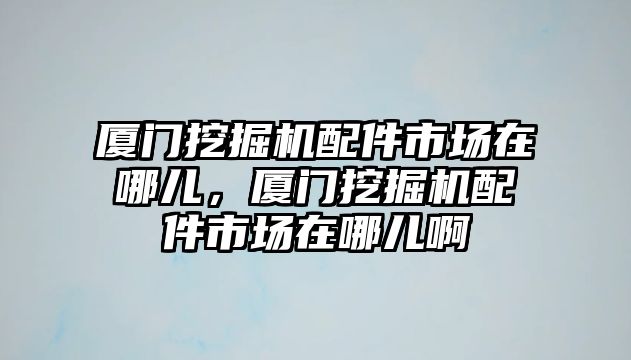 廈門挖掘機配件市場在哪兒，廈門挖掘機配件市場在哪兒啊