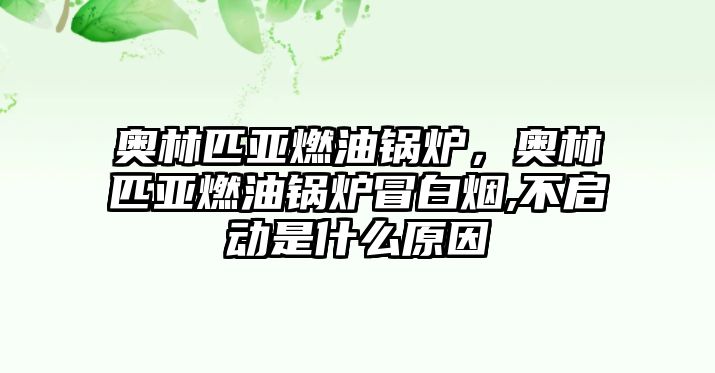 奧林匹亞燃油鍋爐，奧林匹亞燃油鍋爐冒白煙,不啟動是什么原因