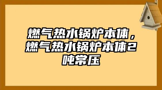 燃?xì)鉄崴仩t本體，燃?xì)鉄崴仩t本體2噸常壓