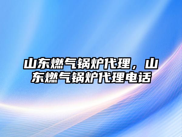 山東燃?xì)忮仩t代理，山東燃?xì)忮仩t代理電話