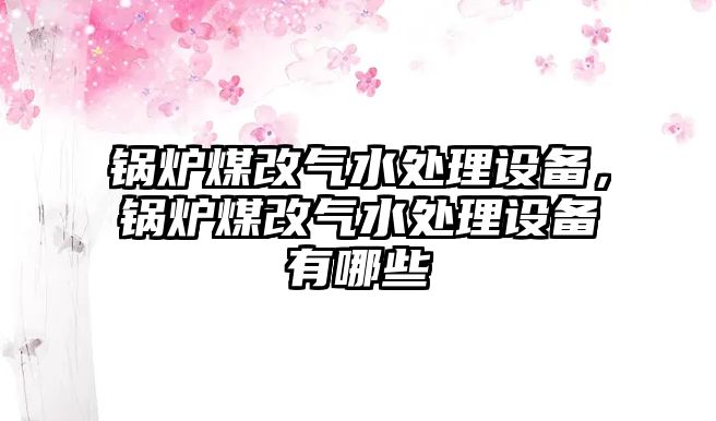 鍋爐煤改氣水處理設(shè)備，鍋爐煤改氣水處理設(shè)備有哪些