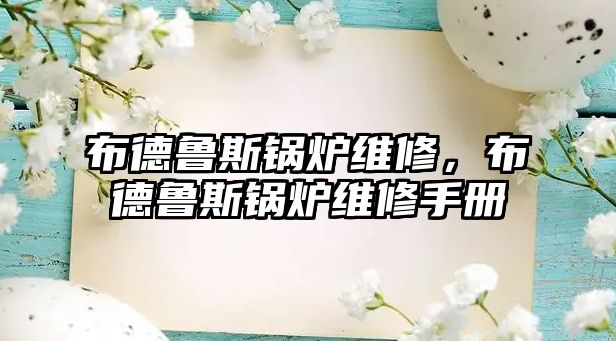 布德魯斯鍋爐維修，布德魯斯鍋爐維修手冊