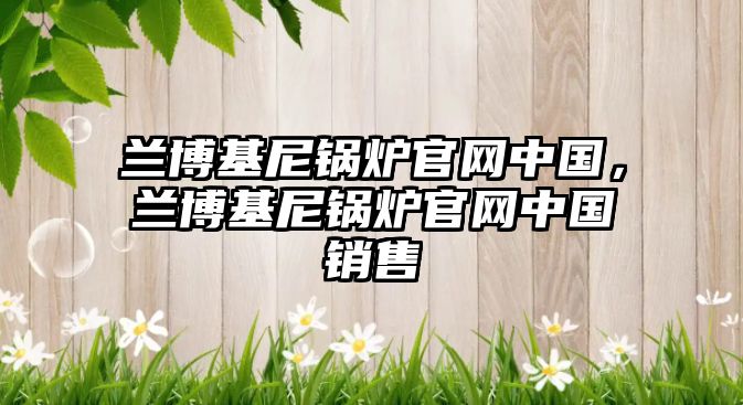 蘭博基尼鍋爐官網(wǎng)中國，蘭博基尼鍋爐官網(wǎng)中國銷售