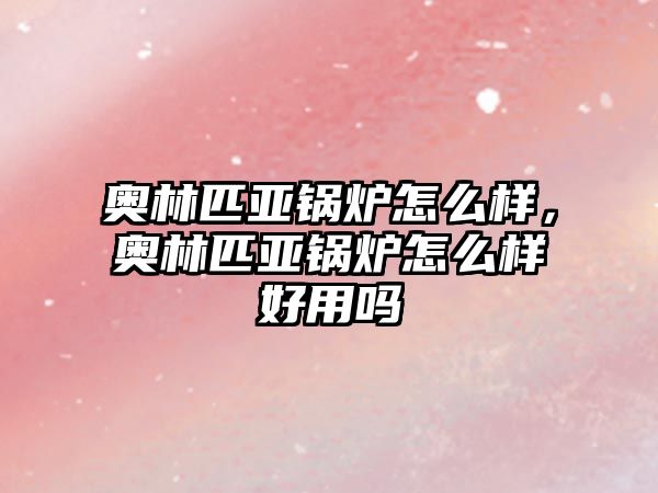 奧林匹亞鍋爐怎么樣，奧林匹亞鍋爐怎么樣好用嗎