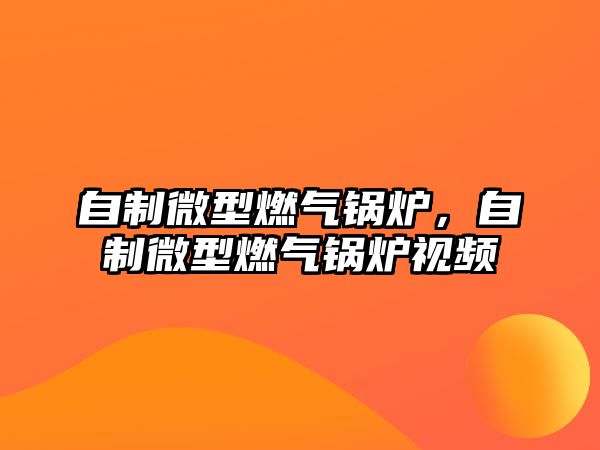 自制微型燃?xì)忮仩t，自制微型燃?xì)忮仩t視頻