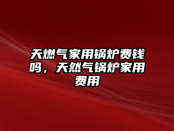 天燃?xì)饧矣缅仩t費(fèi)錢(qián)嗎，天然氣鍋爐家用費(fèi)用