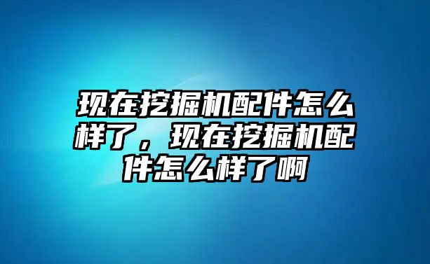 現(xiàn)在挖掘機(jī)配件怎么樣了，現(xiàn)在挖掘機(jī)配件怎么樣了啊