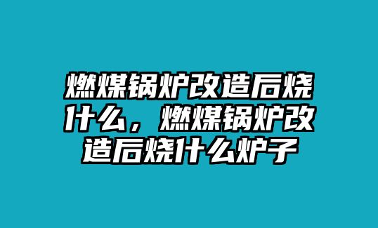 燃煤鍋爐改造后燒什么，燃煤鍋爐改造后燒什么爐子