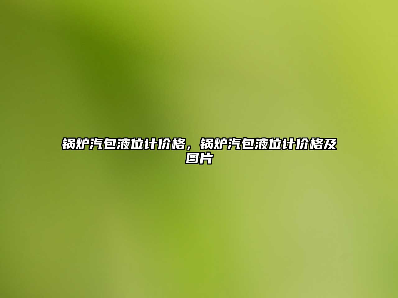 鍋爐汽包液位計價格，鍋爐汽包液位計價格及圖片