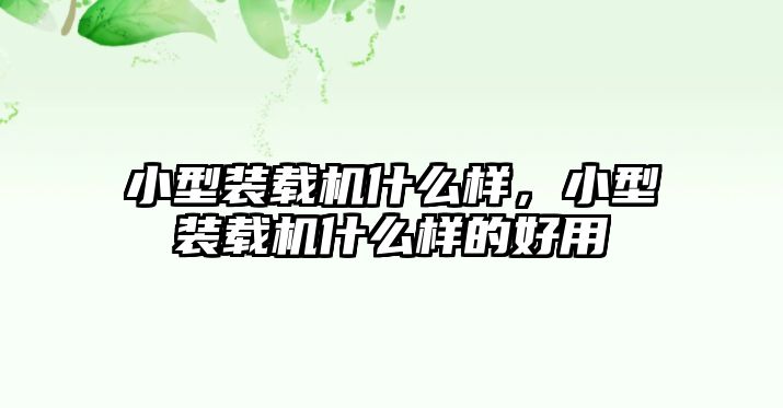 小型裝載機(jī)什么樣，小型裝載機(jī)什么樣的好用