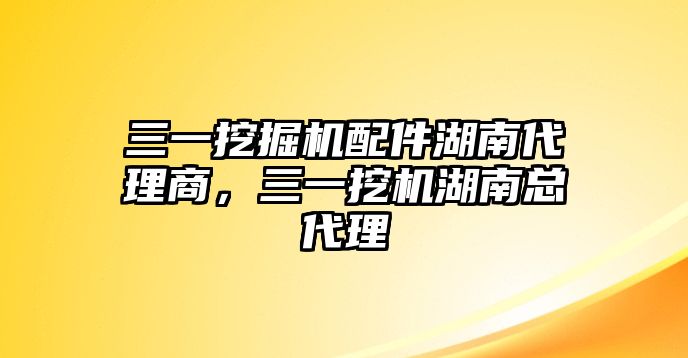 三一挖掘機(jī)配件湖南代理商，三一挖機(jī)湖南總代理