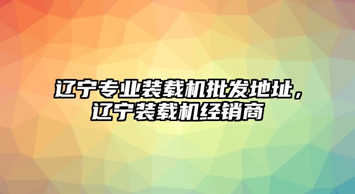 遼寧專業(yè)裝載機(jī)批發(fā)地址，遼寧裝載機(jī)經(jīng)銷商