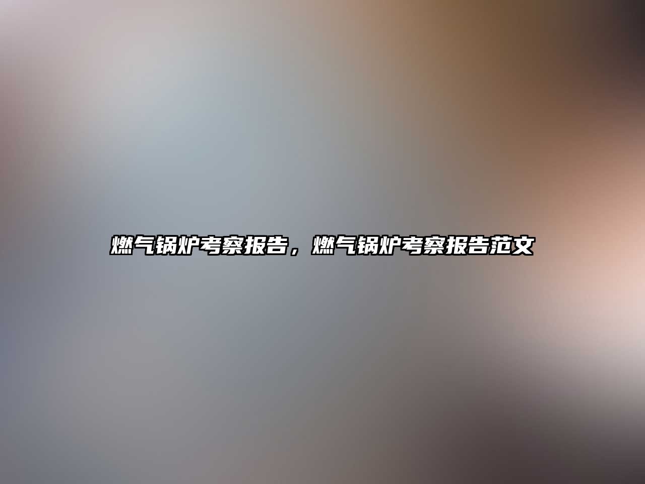 燃?xì)忮仩t考察報告，燃?xì)忮仩t考察報告范文