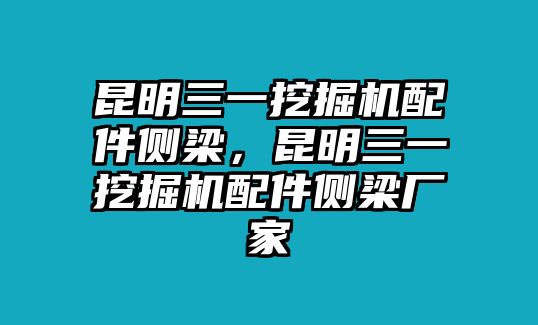 昆明三一挖掘機配件側(cè)梁，昆明三一挖掘機配件側(cè)梁廠家