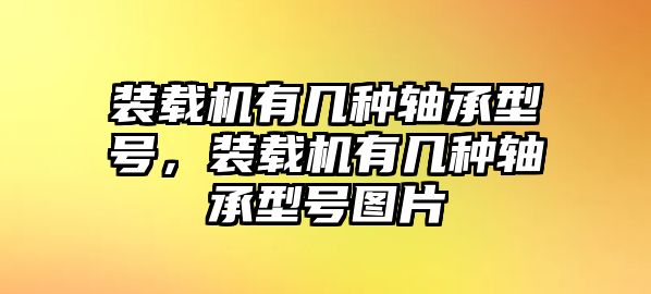 裝載機(jī)有幾種軸承型號(hào)，裝載機(jī)有幾種軸承型號(hào)圖片