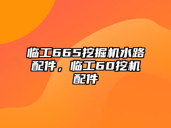 臨工665挖掘機水路配件，臨工60挖機配件