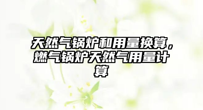 天然氣鍋爐和用量換算，燃?xì)忮仩t天然氣用量計(jì)算