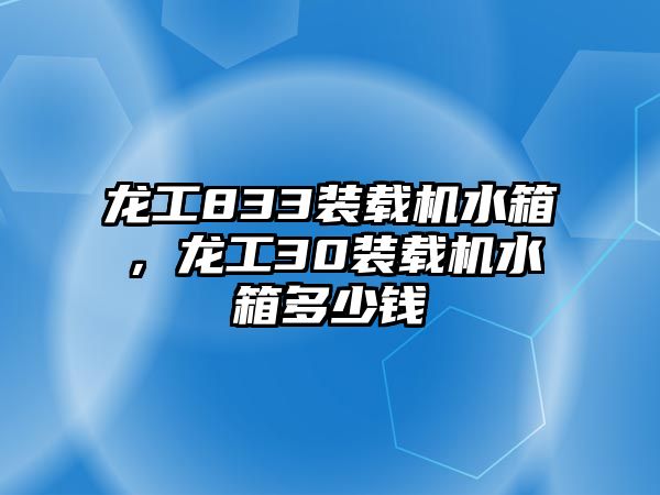 龍工833裝載機水箱，龍工30裝載機水箱多少錢