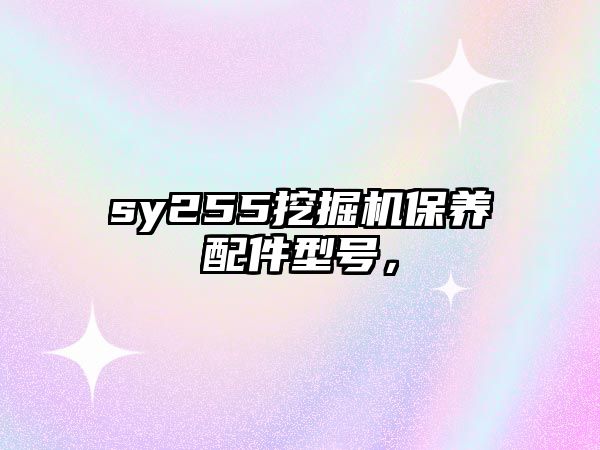 sy255挖掘機保養(yǎng)配件型號，