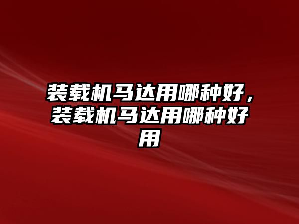 裝載機(jī)馬達(dá)用哪種好，裝載機(jī)馬達(dá)用哪種好用