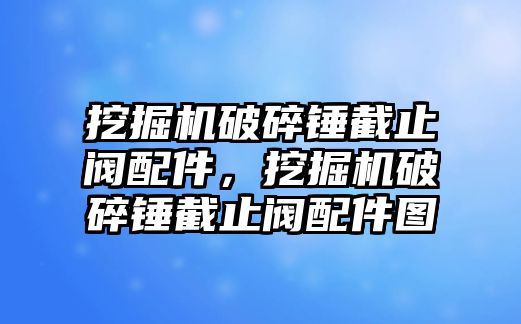 挖掘機破碎錘截止閥配件，挖掘機破碎錘截止閥配件圖