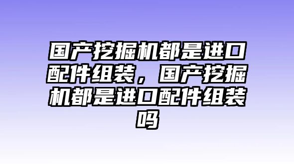 國產(chǎn)挖掘機(jī)都是進(jìn)口配件組裝，國產(chǎn)挖掘機(jī)都是進(jìn)口配件組裝嗎