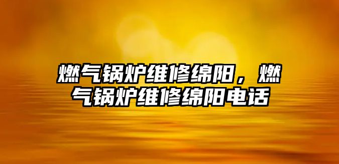 燃?xì)忮仩t維修綿陽，燃?xì)忮仩t維修綿陽電話