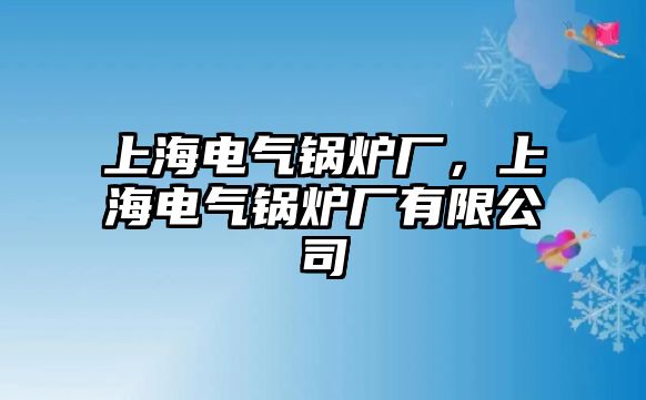 上海電氣鍋爐廠，上海電氣鍋爐廠有限公司