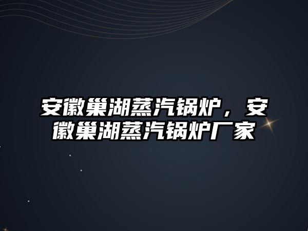 安徽巢湖蒸汽鍋爐，安徽巢湖蒸汽鍋爐廠家