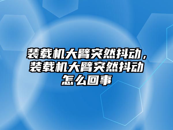 裝載機大臂突然抖動，裝載機大臂突然抖動怎么回事