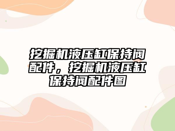 挖掘機液壓缸保持閥配件，挖掘機液壓缸保持閥配件圖