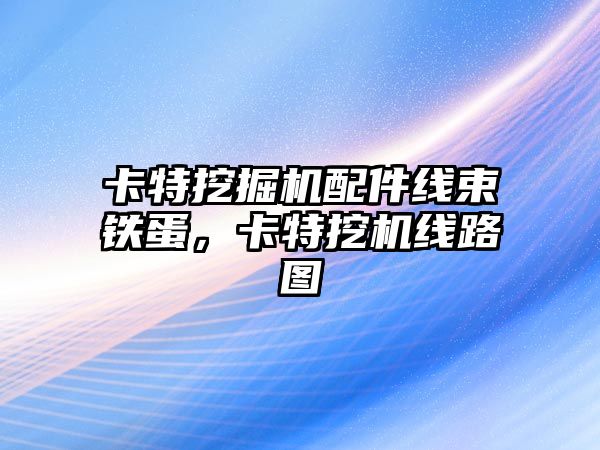 卡特挖掘機配件線束鐵蛋，卡特挖機線路圖