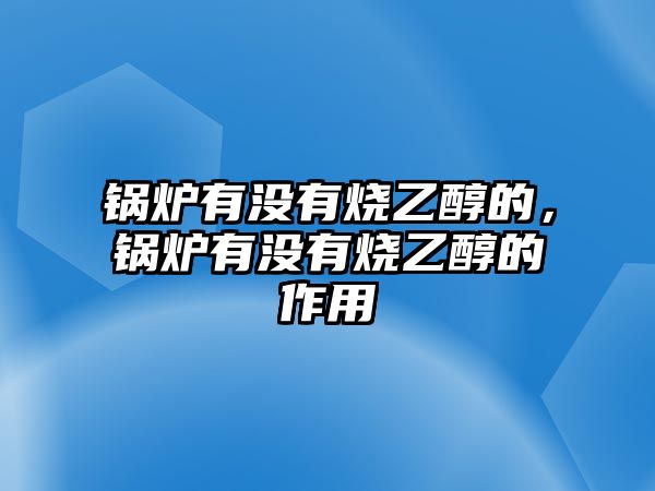 鍋爐有沒有燒乙醇的，鍋爐有沒有燒乙醇的作用