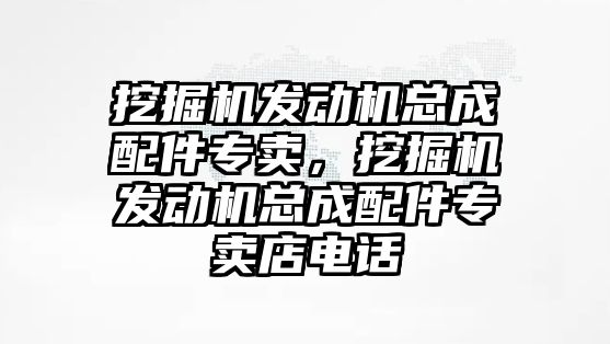 挖掘機(jī)發(fā)動機(jī)總成配件專賣，挖掘機(jī)發(fā)動機(jī)總成配件專賣店電話