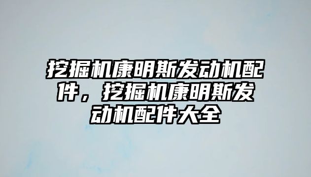 挖掘機康明斯發(fā)動機配件，挖掘機康明斯發(fā)動機配件大全