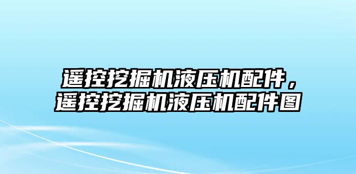 遙控挖掘機(jī)液壓機(jī)配件，遙控挖掘機(jī)液壓機(jī)配件圖