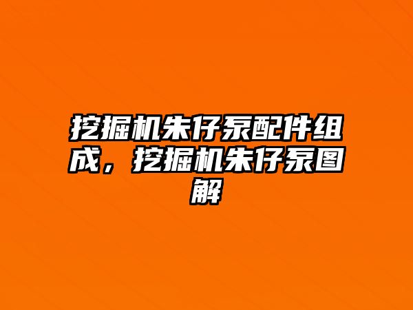 挖掘機朱仔泵配件組成，挖掘機朱仔泵圖解