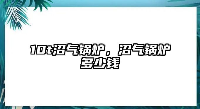 10t沼氣鍋爐，沼氣鍋爐多少錢